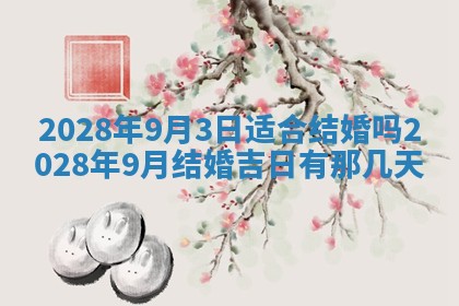 2026年01月26日出生程姓女宝宝如何取名？好听有寓意的名字精选