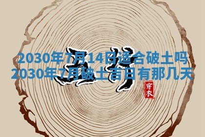 今日农历2025年五月廿六黄历办婚礼适宜吗,结婚吉日