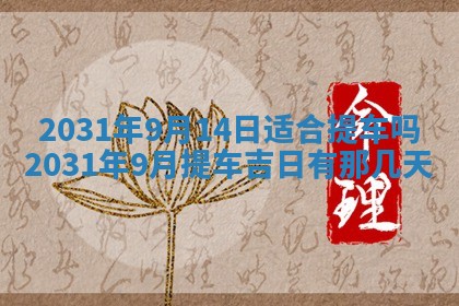 如何给2026年03月15日出生的赵姓女宝宝起个好名字？专业分析与建议