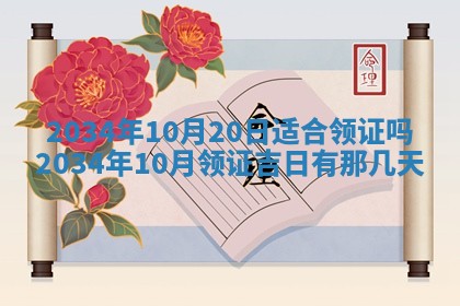 陈姓宝宝起名禁忌与技巧：2026年01月24日出生男孩子最佳名字