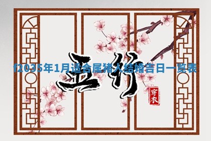 吴姓2026年02月08日出生的男孩子命理分析与起名攻略