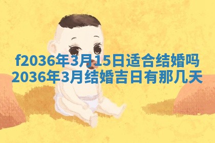 2025年12月11日打麻将朝向查询
