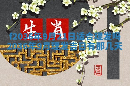 2025年12月11日打麻将朝向查询