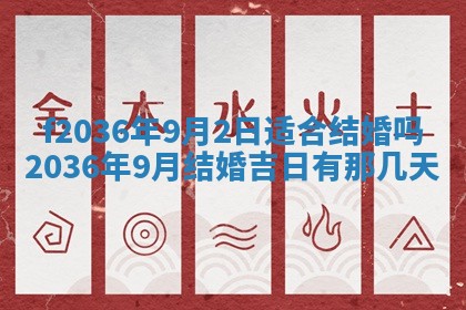 2025年12月11日打麻将朝向查询