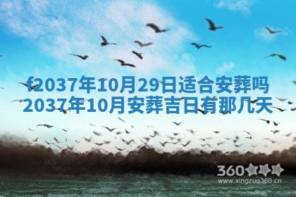 2026年01月23日出生的邓姓男孩子取名指南：吉祥好听的名字推荐