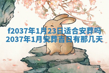 赵姓男宝宝起名大全：2026年01月19日生辰八字喜用神分析