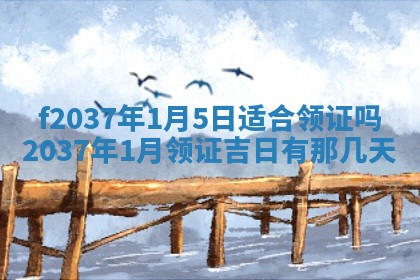 2025年12月11日打麻将朝向查询