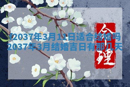 2025年6月29日适合搬家吗,搬家是好日子吗