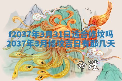 2026年01月23日出生的邓姓男孩子取名指南：吉祥好听的名字推荐