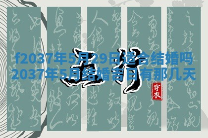 2025年12月19日的打麻将在哪个方位查询