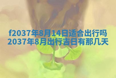 打麻将财神方位查询 2025年12月14日