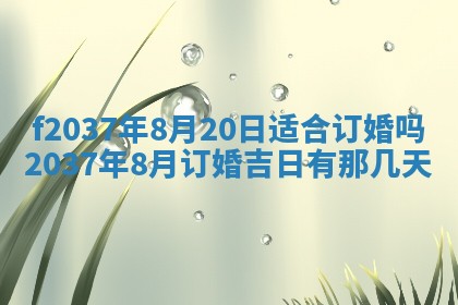 2026年01月23日出生的邓姓男孩子取名指南：吉祥好听的名字推荐