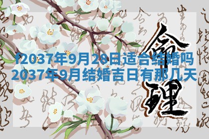 2025年12月18日打牌财神方向