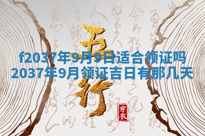2026年01月23日出生的邓姓男孩子取名指南：吉祥好听的名字推荐