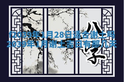 2025年12月21日打麻将在哪个方向详解