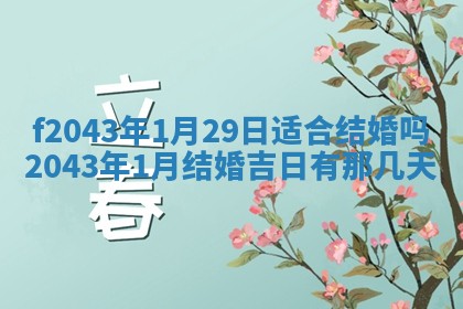 段姓2026年01月28日出生的男孩子命理分析与起名攻略