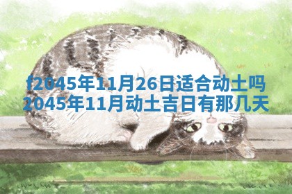 2025年6月27日老黄历适合迎亲吗