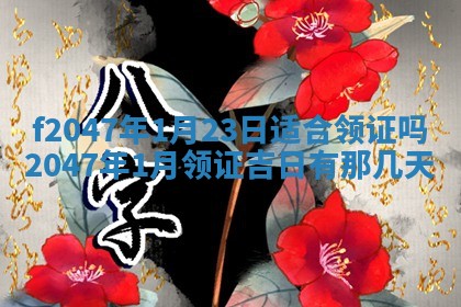 2026.01.27生的唐姓男宝宝取名常见误区与高分名字推荐