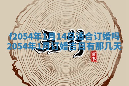 2026年01月11日打麻将财神朝向专业分析