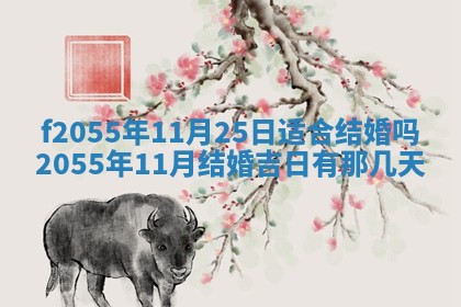 毛姓2026/03/19出生女宝宝起名全攻略：名字推荐与禁忌字分析