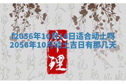 2026年02月06日农历二〇二五年腊月十九出生的张姓男宝宝取名全攻略