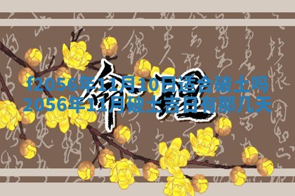 白姓女宝宝起名大全：2026年02月25日生辰八字喜用神分析