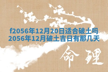 2026年02月06日农历二〇二五年腊月十九出生的张姓男宝宝取名全攻略