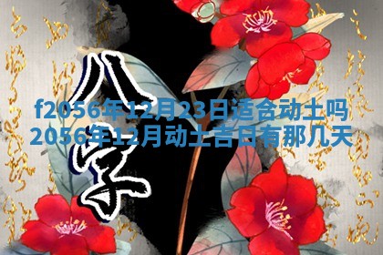 2026年02月06日农历二〇二五年腊月十九出生的张姓男宝宝取名全攻略