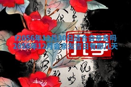 白姓女宝宝起名大全：2026年02月25日生辰八字喜用神分析