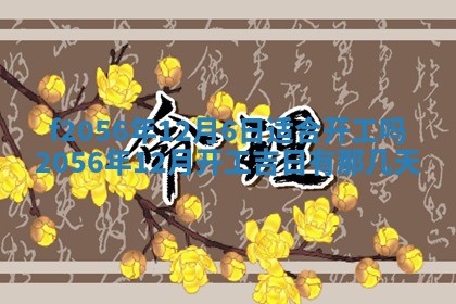 白姓女宝宝起名大全：2026年02月25日生辰八字喜用神分析