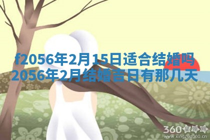 2026年02月06日农历二〇二五年腊月十九出生的张姓男宝宝取名全攻略