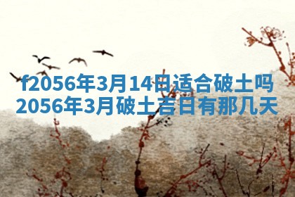 白姓女宝宝起名大全：2026年02月25日生辰八字喜用神分析