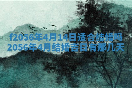 白姓女宝宝起名大全：2026年02月25日生辰八字喜用神分析