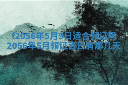 2026年02月06日农历二〇二五年腊月十九出生的张姓男宝宝取名全攻略