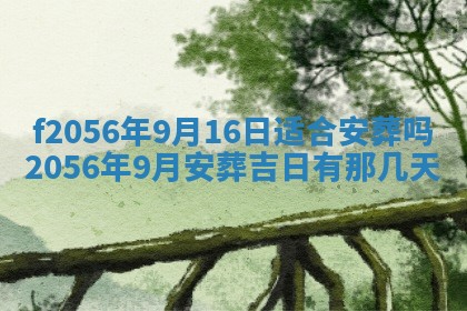2026年02月06日农历二〇二五年腊月十九出生的张姓男宝宝取名全攻略