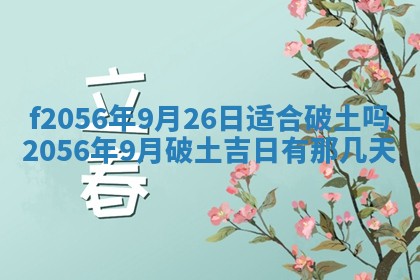 2026年02月06日农历二〇二五年腊月十九出生的张姓男宝宝取名全攻略