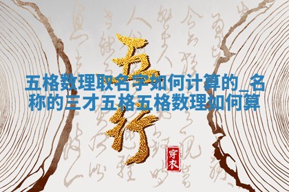 2025年11月08日打麻将财神在哪个方位,每日查询