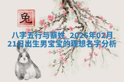 蔡姓男孩子取名