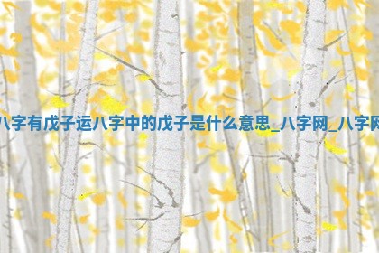 2025年11月06日打麻将财神朝向详解