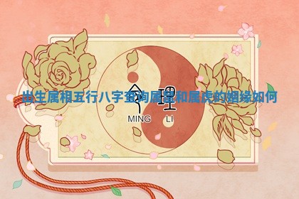 2025年11月06日打麻将财神朝向详解