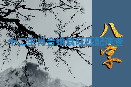 2025年11月09日今日财神方位,财神方位详解