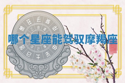 2025年11月08日打麻将财神在哪个方位,每日查询