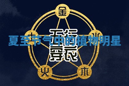 2026年3月份适合嫁娶的日子