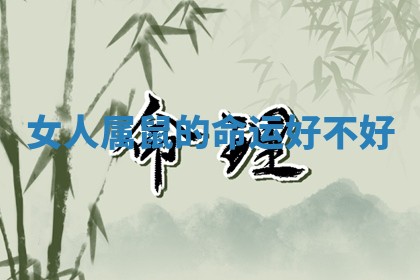 2025年11月08日打麻将财神在哪个方位,每日查询