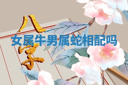 2025年11月08日打麻将财神在哪个方位,每日查询