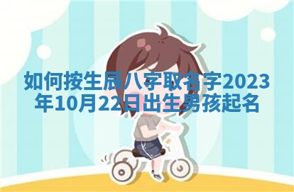 2025年11月08日打麻将财神在哪个方位,每日查询