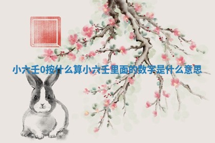 2025年11月08日打麻将财神在哪个方位,每日查询