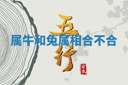 2025年11月05日各时辰财神位置吉位