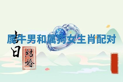 2025年11月08日打麻将财神在哪个方位,每日查询
