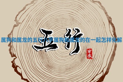 2025年11月08日打麻将财神在哪个方位,每日查询